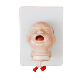 The Model of Newborn Intubation, XC-410, ESMC, Xinch, China