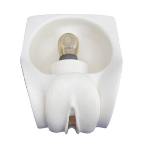 Female Contraception Practice Model, XC-417A, ESMC, Xinch, China