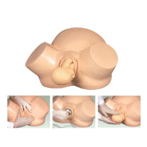 Midwifery Training Simulator, XC-419A, ESMC, Xinch, China