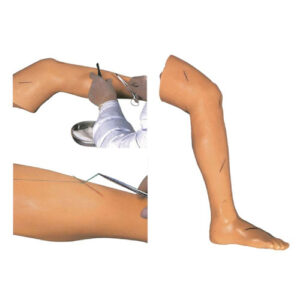 Advanced Suture Practice Arm, XC-439, ESMC, Xinch, China