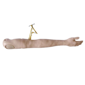 Multi-Functional IV Training Arm, XC-446, ESMC, Xinch, China