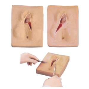Vulva Suturing Training Simulator, XC-447, ESMC, Xinch, China