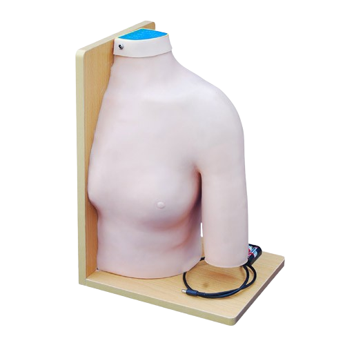 Shoulder Joint Intracavitary Injection Model, XC-452, ESMC, Xinch, China