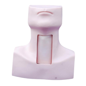 Tracheostomy Simulator, XC-454, ESMC, Xinch Scientific, China