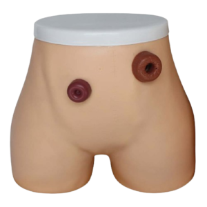 Ostomy Nursing Model, XC-455, ESMC, Xinch, China