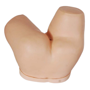 Enema Administration Simulator, XC-460, ESMC, Xinch, China