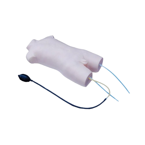 Child Femoral Vein and Femoral Artery Puncture Training Model, XC-462, ESMC, Xinch, China