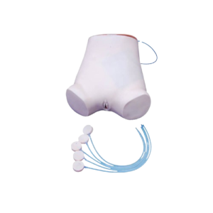 Abdominal Puncture Model, XC-464, ESMC, Xinch, China