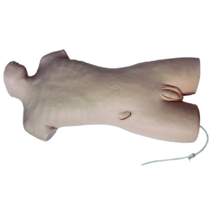 Whole Body Abdominal Puncture Model, XC-464A, ESMC, Xinch, China