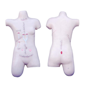 Surgical Suture and Bandaging Model, XC-471, ESMC, Xinch, China