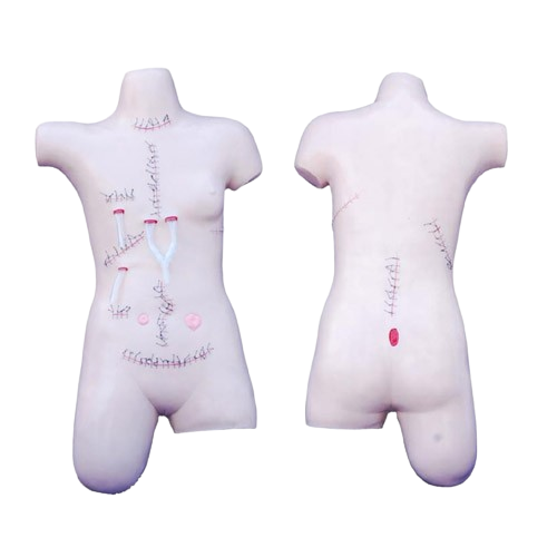 Surgical Suture and Bandaging Model, XC-471, ESMC, Xinch, China