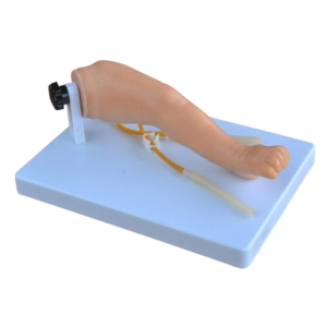 Advanced infant venipuncture leg, XC-485, ESMC, Xinch, China