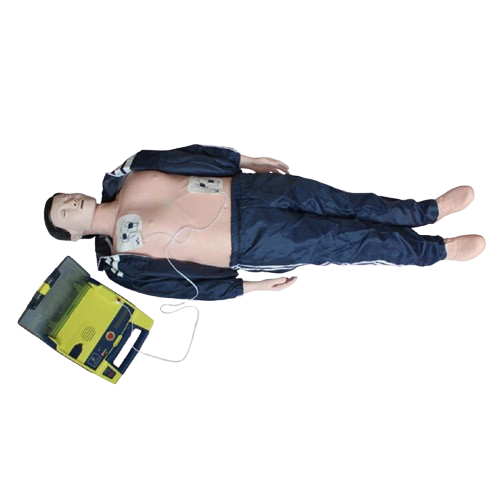 Basic Life Support, BLS Manikin (CPR & AED Simulator), XC-BLS, ESMC, Xinch, China