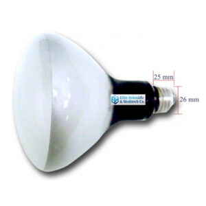 Incandescent Flood Lamp with reflector, 500 Watt 120 Volt