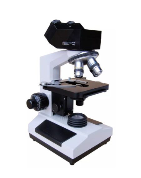 Microscope (Binocular & Trinocular)