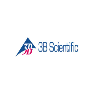 3B Scientific