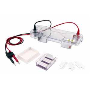 Horizontal electrophoresis tank, ET-H1