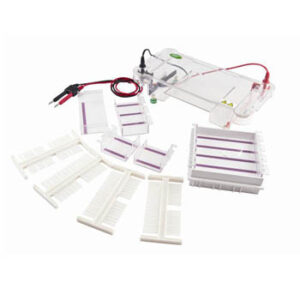 Horizontal electrophoresis tank, ET-H2