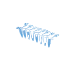 Maxiamp 0.2 ml Tube Strips with Attached Cap _ESMC, Tarsons