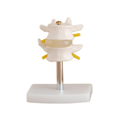 Lumbar Set 2 pcs, XC-116, ESMC, Xinch, China