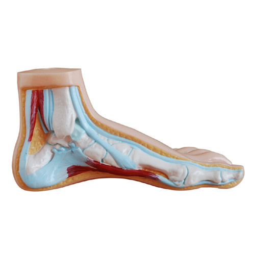 Normal Foot, XC-326-1, ESMC, Xinch, China