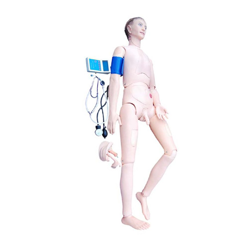 Advanced Nurse Training Doll with Blood Pressure Training Arm (male/female), XC-401A-2(401B-2), ESMC, Xinch, China