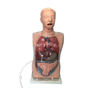 Transparent Gastric Lavage Model, XC-405-2, ESMC, Xinch, China