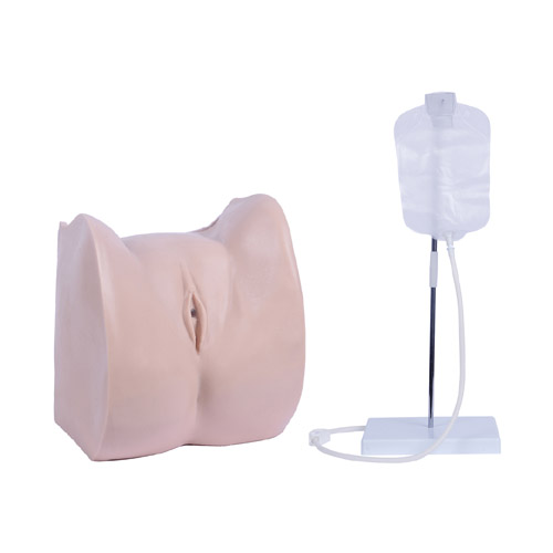Simple Female Urethral Catheterization Simulator, XC-405B, ESMC, Xinch, China