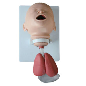 Infant Intubation Training Model, XC-410A, ESMC, Xinch, China