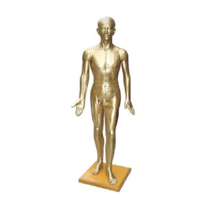 Deluxe Acupuncture Model 178CM (Copper Color), XC-501A, ESMC, Xinch, China