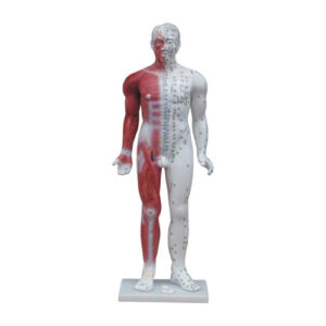 Deluxe Acupuncture Model 84CM, XC-502, ESMC, Xinch, China