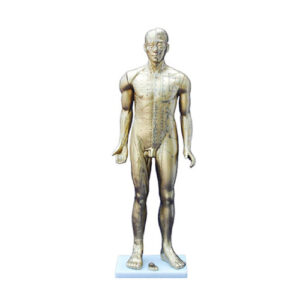 Deluxe Acupuncture Model 84CM, XC-502C, ESMC, Xinch, China