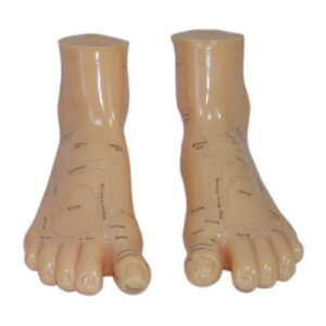 Massage foot model 17CM, XC-515A; Massage models