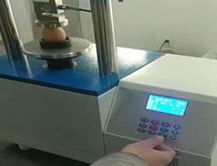 Automatic eggshell hardness tester, ST120H