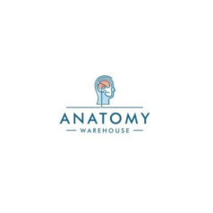 Anatomy Warehouse Models, Anatomy Warehouse Charts, Anatomy Warehouse models and charts, Anatomy Warehouse products seller in bd, Anatomy Warehouse price in BD, The Prostate Gland Chart, Chart Endocrine Glands, Lymphatic System Chart, Nervous System Chart, The Respiratory System Chart, Human Brain Chart, Foot and Joints of Foot Chart, Hand and Wrist Chart, The Human Skulls Chart, Pregnancy Chart, Childbirth Chart, Vertebral /Spinal Column Chart, Diseases Digestive System Chart, Decubitus Ulcers Chart, Arthritis Chart, Hepatitis Chart, Hypertension Chart, The Skin Chart, The Female Breast Chart, The Human Skeleton Chart, Osteoporosis Chart, Shoulder and Elbow Chart, Chart Internal organs, The Human Heart Chart, Sexually Transmitted Diseases, The Respiratory System Chart, Cholesterol Chart, Diseases of the Eye Chart, Allergies Chart, Diabetesmellitus Chart, The Blood Chart, Headaches Chart, La apoplejia/ Stroke Spanish Chart, HIV y AIDS Chart, Cancer Chart, Skin Cancel Chart, Diseases of the Middle Ear Chart, The Female Breast Chart, Cancer Chart, Common Cardiac Disorders Chart, The Female Genital Organs Chart, Cancer Chart, EI embarazo Chart, EI parte Chart, Cancer Chart, COPO Chart, Alcohol Dependence Chart, The Stomach Chart, Common Cardiac Disorders Chart, Alzheimer’s Disease Chart, Parkinson’s Disease Chart, Colon Cancer Chart, Sports Injuries Chart, Human Musculature Chart, The Respiratory System Chart, Diseases Digestive System Chart, The Respiratory System Chart, Hypertension Chart, Foot and Joints of Foot Chart, Osteoporosis Chart, Arthritis Chart, The Human Skeleton Chart, Hand and Wrist Chart, Shoulder and Elbow Chart, Lymphatic System Chart, HIV and AIDS Chart, Flu {Influenza} Chart, Cancer Chart, Hepatitis Chart, Common Cardiac Disorders Chart, Diabetesmellitus Chart, Asma Chart, Arthritis Chart, Hypertension Chart, Parkinson’s Disease Chart, Nicotine Dependence Chart, Basic life Support Chart, Chart Bacteria, Chart Human Cell Structure, Chart Cell Division II, Meios, Nervous System Chart, Chart Bacteria, Child Birth, The Human Skeleton Chart, Birth Control Chart, Common Cardiac Disorders Chart, Diabetesmellitus Chart, Parkinson’s Disease Chart, Nicotine Dependence Chart, HIV and AIDS Chart, Basic Life Support Chart, Model of breast self-palpation, Skeleton Stan 5•feet Roller Stand Previous, Functional Shoulder Joint, Functional Hip Joint, Functional Knee Joint, Functional Elbow Joint, Pelvic Skeleton male, Pelvic Skeleton female, Leg skeleton with hip bone, Femur, Fibula, Tibia, Female Pelvis with Ligaments, Baby CPR Manikin, CPR Infant, Child CPR Torso, CPR Child, Leg Skeleton with hip bone, Classic Flexible Spine, Verterbral Column, Patient Care Manikin PRO, Complete CRiSis™ w, Adv.Airway Management, with Advanced Airway Management, Wound Care and Bandaging Skill Trainer, Central Venous Cannulation, Intravenous Training Arm, Designed for essential training in the procedures of blood collection, Infusion and intravenous injections, Injection Arm, I.v. Injection Arm P50/1, IV Arm- Child• 5 years old, Suture Practice Arm, Suture Practice Leg, Catheterization simulator PRO, Male Previous, Catheterization simulator PRO Female, I.m. Injection Simulator, Buttock injection simulator, Breast Self Examination model, Model of female breast, Sim. Breast Self Examination, Larynx, 2 times full-size/ Thyroid, Spinal Cord with nerve endings, Pelvis male 3-part, Childbirth Demonstration, Delivery Process Model, Pregnancy Series. 8 Models, Fetus/Embryo, RNA Model 24 Bases miniDNA® Kit, DNA Double Helix Model. 22 Segments miniDNA® Kit, Placenta, Circulatory System, Embryonic Development in 12 stages, Pregnancy Pelvis 3-Part, Child Birth, Liver with Gall Bladder, Basic life support, BLS manikin (CPR & AED simulator), AED monitor, Life size skeleton (180 cm) with stand, Skeleton (180 cm) Muscles & Ligaments, Skeleton (180 cm) Flexible, Flexible Skeleton with Ligaments, Skeleton (85 cm), Skeleton (85 cm) with Spinal Nerves Skeleton (85 cm) with Spinal Nerves & Blood Vessel, Skeleton (85 cm) with Painted Muscles, Skeleton (85 cm) with Painted Muscles, Mini Skeleton, Life size Skull, Life size Skull Painted, Life size Skull colored bones, Delux Life size Skull (Style D), Skull with 8 parts Brain, Life size Vertebrae Column with Pelvis, Vertebrae Column with Pelvis & Painted Muscles, Vertebrae Column with Pelvis & Numbered Painted Muscles, Didactic Flexible Vertebrae Column with Pelvis, Miniature Plastic Skull, Life size Vertebral column, Vertebral column with painted muscles, Didactic Vertebral column, Vertebral column disarticulate model, Life size shoulder joint, Life size muscled Shoulder joint, Life size Hip Joint, Life size Knee Joint, Life size Elbow Joint, Life size foot Joint, Life size foot Joint with Ligaments, Life size hand Joint, Life size hand Joint with Ligaments, Life size pelvis with 5 pcs Lumber Vertebrae, Half size pelvis with 5 pcs Lumber Vertebrae, Lumber set 2 Pcs, Lumber set 3 Pcs, Lumber set 4 Pcs, Life seze lumber Vertebrae with sacrum & Coccyx & Herniated, Mini Lumber Vertebrae with Sacrum & Coccyx & Herniated Disc, Thoracic Spinal Column, Life seze Upper Extremity, Life seze lower Extremity, Adult male Pelvis, Adult Female Pelvis, Female Pelvic Muscles & Organs, Life size vertebral clumn with pelvis & Femur head, vertebral clumn with pelvis & Femur heads & Painted Muscies, vertebral clumn with pelvis & Femur heads and numbered Painted Muscies, Didactic vertebral clumn with pelvis & Femur head, Flexible vertebral with removable Pelvis & Femur, Birth Demonstration, Life size pelvis with 2 Pcs Lumber Vertebrae, Disarticulated Skeleton with Skull, Cervical Vertebral Clumn with Nack Artery, Cutaway Osteoporosis, Skull with CervicalmSpine, Skull with Brain and Cervical Sspain 8 Parts, Male Torso (85 cm) 19 Parts, Male Torso (42 cm) 13 Parts, Torso (26 cm) 15 Parts, Unisex Torso (85 cm) 23 Parts, Unisex Torso (45 cm) 23 Parts, Sexless Torso (85 cm) 20 Parts, Sexless Torso (42 cm) 18 Parts, Unisex Torso (85 cm) 40 Parts, Unisex Torso (85 cm) 20 Parts, Unisex Torso (85 cm) 30 Parts, Magnified Human Lartnx, Magnified Pulmonary Alveoli, Giant Ear, Middle Ear, New Style Giant Ear, Desktop Ear, Brain, New Style Brain, Brain, Expansion of Human Teeth, Stomach, Jumbo Heart Life size Heart, New style life size heart, New style Jumbo Heart, Middle Heart, Brain with Arteries, Brain with Arterial, Brain with Arterial 9 Parts, Anatomy Nasal Cavity, Kidney, Kidney 2 Parts, Kidney with Adrenal Gland, Enlarged Kidney, Liver, Pancreas & Duodenum, Liver, Enlarge Skin, Skin Block, Skin Section, Digestive System, Giant Eye, Giant Eye A, Eye with Orbit, Expansion of Urinary Bladder, Brain with Arteries on Head, Head with Brain, Median section of the Head, Forntal Section & Median Section of the Head, Frontal section of Head, Larynx, Heart & Lung, Lung, Circulatory system, The Head, Plam Anatomy, Normal Flat & Arched Foot, Transparent Lung Segment, Male Urogenital system, Human male Pelvis section Part 1, Human male Pelvis section Part 2, Advanced Male internal & external Gental Organs, Male Gental Organ, Female Urogenital System, Female Pelvis section 1 Part, Female Pelvis section 4 Parts, Female Pelvis section 2 Part2, Advanced Female internal & external Gental Organ, Female Pelvis, Urinary system, Human (80 cm) Muscles Male (27 Parts), Human Muscles 50 cm 1 Part, Muscles of human Arm 7 parts, Muscles of Lower Limb 13 Parts, Life size human Muscle foot (7 parts), Multifunctional patient care Manikin, High quality Nurse Trainning Doll (Male), New style High quality Nurse Trainning Doll (Male), Advanced Nurse Trainning Doll (with BP Trainning Arm Male), High quality Nurse Trainning Doll (Female), New style High quality Nurse Trainning Doll (Female), Advanced Nurse trainning doll (with BP Trainning Arm Female), Advanced Multifunctional Nurching Trainning Doll, Advanced Trauma Simulator, Advance Trauma Accessories, Multifunctional patient care Manikin (Male), Course of delivery, Advanced Course of delivery, Delivery Machine, Dental Care (28 teeth), Dental Care (32 teeth), Small Dental Care (28 teeth), Small Dental Care (32 teeth), Dental Care with Cheek, Basic CPR Trainning (half Body), Half body CPR Trainninf (male), Half body CPR Trainninf (Female), Nurse Basic Practice Teaching 5 parts, Simple male Urethral catheterization simulator, Simple Female Urethral catheterization simulator, Transparent gastric lavage model, Whole body basic CPR Manikin style 100 (Male/Female), Whole body basic CPR Manikin style 200 (Male/Female), Whole body basic CPR Manikin style 500 (Male/Female), New style CPR Trainning Manikin, Whole advanced CPR Manikin style 500 (Female), Human Trachea Intubation, Advanced Human Trachea Intubation, Electronic Urinary, Advanced male Urethral Catheterization simulator, Advanced female Urethral Catheterization simulator, Transparant male Urethral Catheterization simulator, Transparant female Urethral Catheterization simulator, New Born baby, New style New Born baby, New style New Born baby model (Girl), Advanced New Born care, Advanced neonate Umbilical cord, Umbilical Cord, Tracheostomy care infant, Neonate scalp venipuncture, New born Intubation, Infant Intubation training, Gynecological Trainning simulator, Advanced maternity, Development process for ferus, The development process for ferus (half size), New born CPR Trainning manikin, Conception Guidance, Female Contraception Guidance, Male Condom Simulator ( Transparent Base), Breast Examination, Lactation Trainning model, Mid wifery trainning simulator, Dystociatrainning simulator, Infant obstruction, Child Choke, Advanced infant CPR & nursing manikin, Advanced new born nurshing model, 3-Year old child nurshing trainning doll, Child CPR Trinning manikin, Female internal & external genital organ, Buttock Injection, Electronic Buttocks injection simulator, Injectable trainning arm with set, Injectable trainning arm without set, Natural Uterus, Magnified Uterus, Advanced Suture practice arm, Advanced Suture practice leg, IV trainning hand, Electronic IV tranning hand, Wearable intramuscular injection upper-arm simulator, IV injection Pad, Suture Practice Pad, Sebaceous Cyst Excision model, Multifunctional Intramuscular injection trainning Pad, Intramuscular Injection Pad, IV injection Pad, Multifunctional IV trainning arm, Advanced Child IV trainning simulator, Advanced multifunctional IV trainning arm with electric blood circle system, Valve suturing trainning simulator, Perineum cutting and suturing trainning simulator, Advanced artificial abortion simulator uterus, Labor delivery module, Decubitus Ulcer Care, Intradermal injection simulator, Knee joint intraccavitary, Shoulder joint intracavitary injection, Advanced Intramuscular injection, Intramuscular injection, Tracheostomy simulator, Advanced adult Tracheostomy care, Assessment guidance for homestatic, Ostomy nursing, Blood pressure trainning arm, Suctioninning tra, Decubitus Ulcer Care, Decubitus Ulcer Care, Enema Administration simulator, Central Venous Puncture, Child Femoral Vein & Femoral Artery Puncture training, Lumber Puncture, Abdominal puncture, Pneumonia/Pleural drainage ( Artificaial hydrothorax) simulator, Elbow joint intracavitary injection simulator, Prostate examination simulator, Pelvimetry demonstration, Surgical Surure & Bandaging, Comprehensive surgical skills training, Knot Tying Trainer, Ingrowing Toenail Trainer, Child bone marrow Puncture & Femoral venous puncture, Infant bone marrow aspiration trainning simulator, Advanced infant full body venipuncture simulator, Advanced infant Venipuncture arm, Advanced infant Venipuncture leg, Preoperative aseptic operation trainning model, Lower stump bandaging simulator, DOG Acupuncture, HORSE Acupuncture, CATTLE Acupuncture, PIG Acupuncture, CAT Acupuncture, Monocot stem structure, Dicot srem structure, Leaf Structure, Delux Acupuncture model 178 cm, Delux Acupuncture model 84 cm, Acupuncture & Muscle model 55 cm, ECG simulator, Fertilization & Early Embryogeny, Maternal & Neonatal Delivery Emergency simulator, CPR Trainning, Infant Nursing Manikin, Half body CPR, Half body CPR Trainning Manikin, Child Skill Trainning simulator, Child Intubation, Full- function one yrar old child nursing manikin, Advanced wearable pregnant women model, I U D Trainning model, Advanced Uterus & Cervix Lesions model, Lactogen breast model, Respiratory system with pulmonary, Nurvous system, Ovary structure, 4-Stage Vertebrae, Lactation period female breast examination, Breast examination simulator, Digital remote controlled cardiopulmonary auscultation manikin, Diseased breast, Lactation breast, Concilium (Large & Small intestine), Fertilization process model, Laparoscopic simulator (Standard version), Neuron Model, Testis, 10 times enlarged, Brain model with functional region painted, Delux brain model, 1.5 times enlarged, 5th Cervic times enlargedal Vertebrae 7, Pancrease, Gallbladder Spleen, Human Kidney, Nephron & Glomerulus, Diseased ulterus/Uterus overy, Oral cavity, 4D stomach 12 parts, Ileocaecal, Caecum & Appendix, Human Anal Canal model, Sympathetic nerve system, Fertilization & Early Embryonic development, Cerebellum englarged 2 parts, DNA structure, Protein model, Visible Pregancy torso, The Development process for fetus